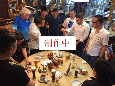 阵容D